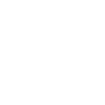 VIZARTIS-logo-150x150